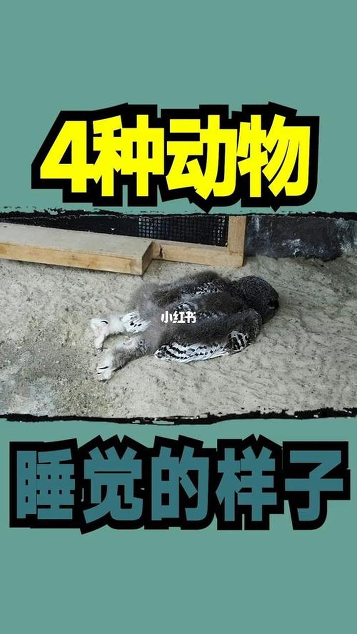 动物有哪些冷知识；生物冷知识科普