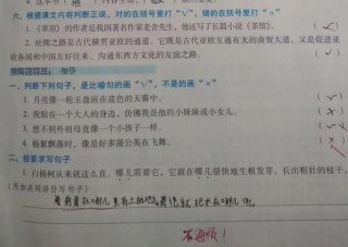 把知识比喻成什么短句 - 可以把知识比作什么