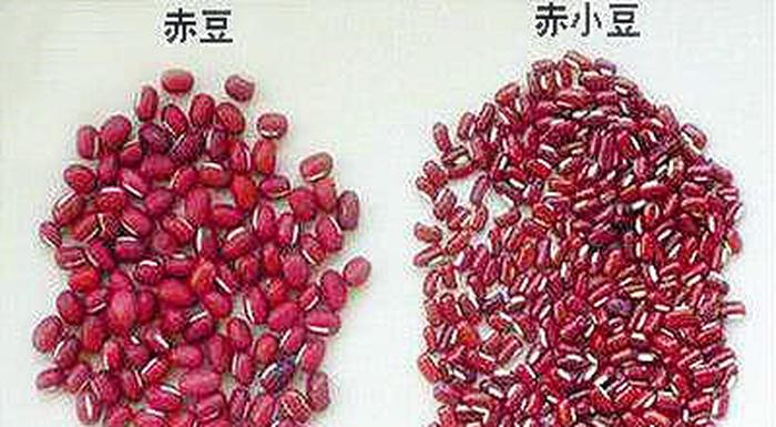 每天一个健康小知识红豆、新鲜红豆的营养价值