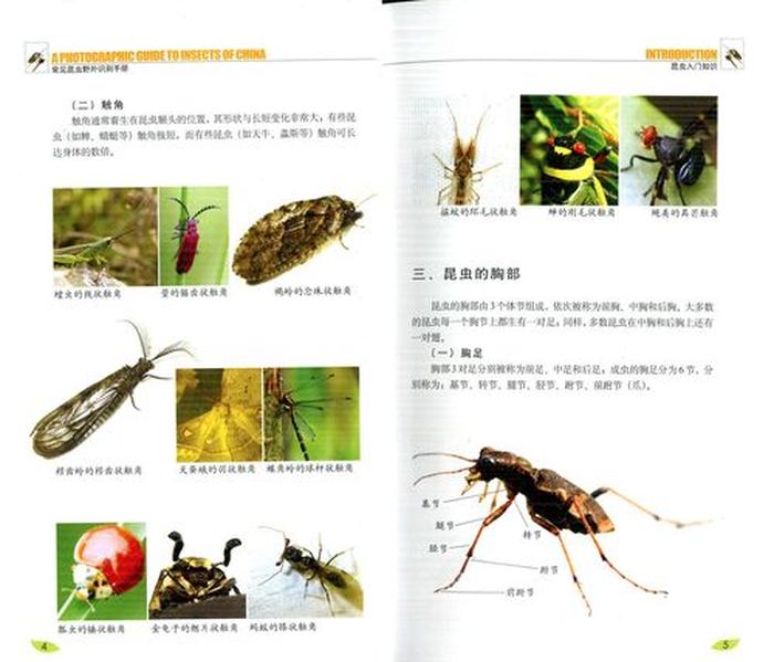 生活中的生物小知识科普；生物科普知识大全