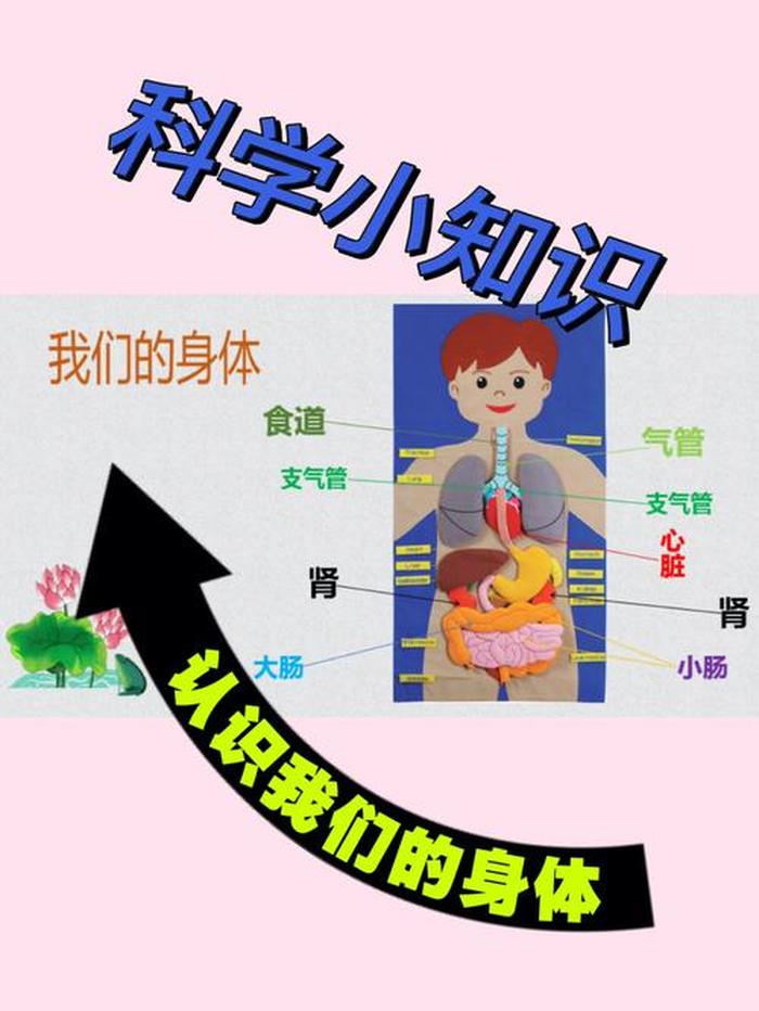 一种科学小知识；科普日常科学小知识