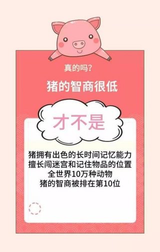 猪的科普冷知识；有用冷知识