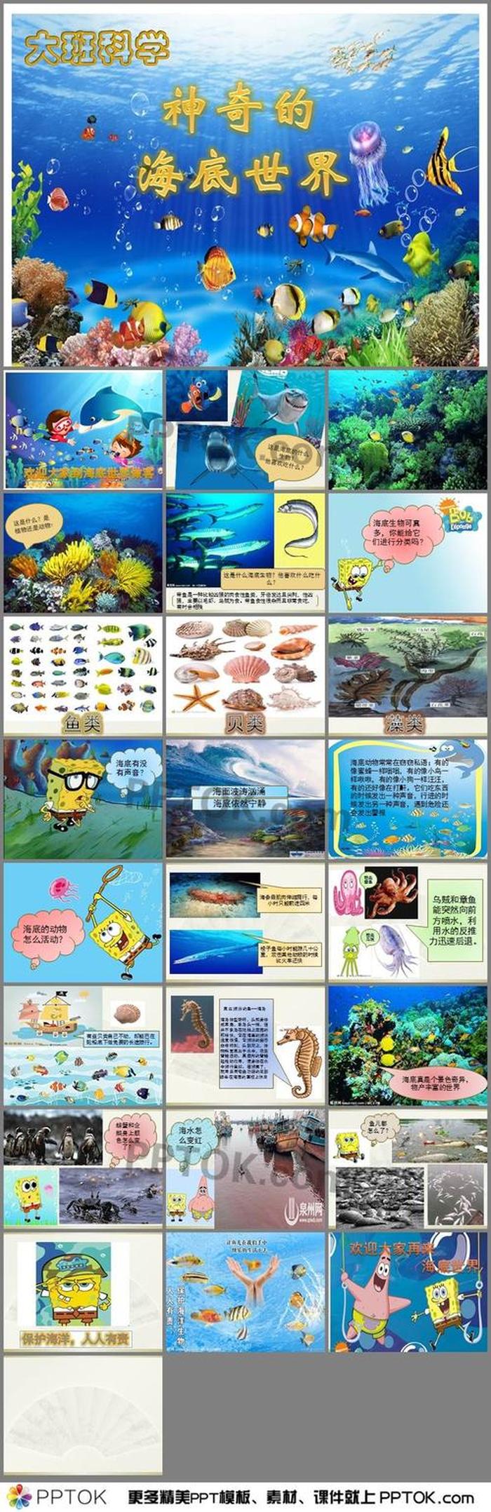 幼儿园科学播报内容 幼儿播报科学小知识
