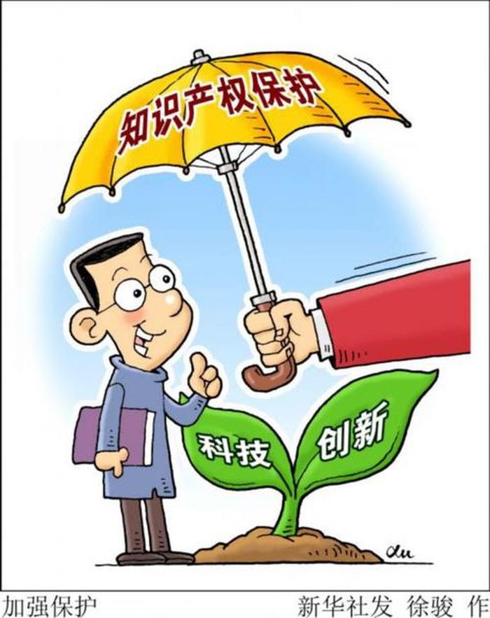了解知识产权的意义；知识产权作用和意义