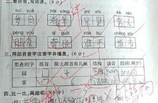 有意思的100个问题小学生，小学生经常出现的问题