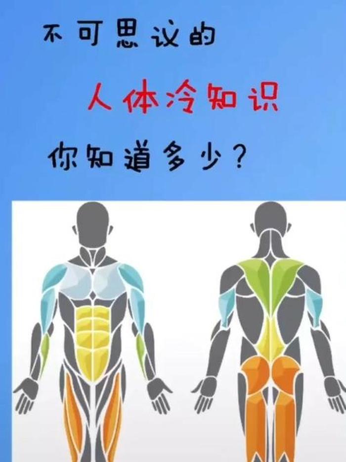 医学冷知识大全、人体冷知识