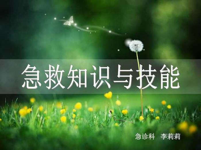 生活日常急救知识科普ppt 科普小知识PPT