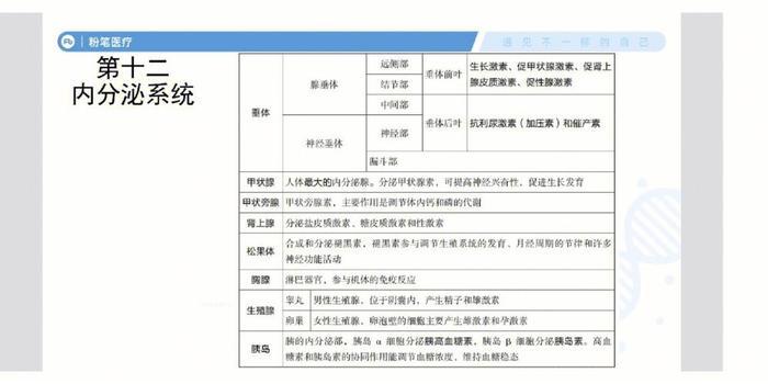 300个医学基础知识 医学基础知识最全总结