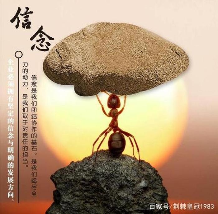 知识包括信念吗 - 信念的三个特征是