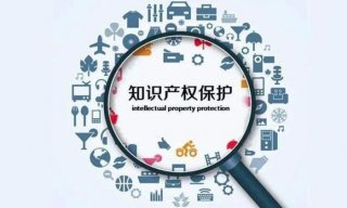 知识产权查询官方网站海关查询 - 知识产权海关保护条例