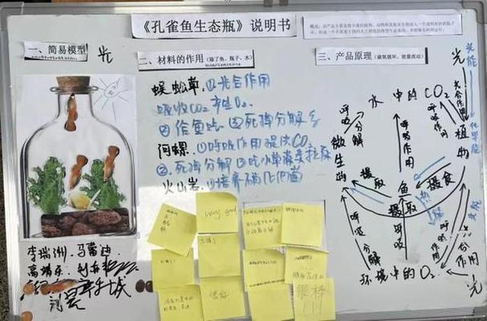 趣味科普鱼类小知识、有趣的科学小知识