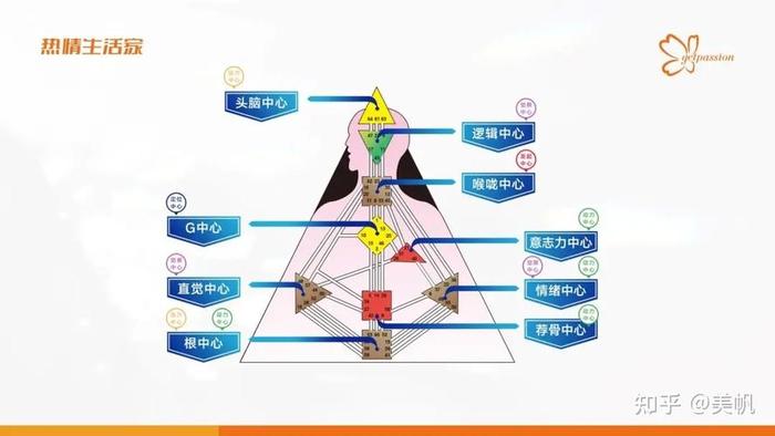 人类知识图谱 书；人类图自学圣经