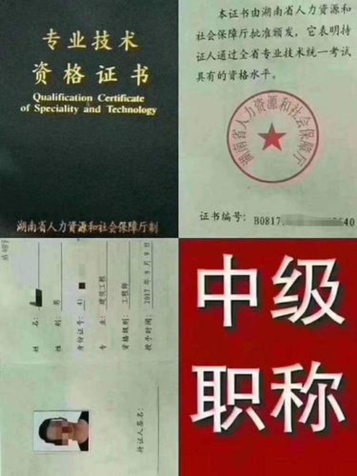 中级知识产权师报考条件 最容易拿到的中级职称