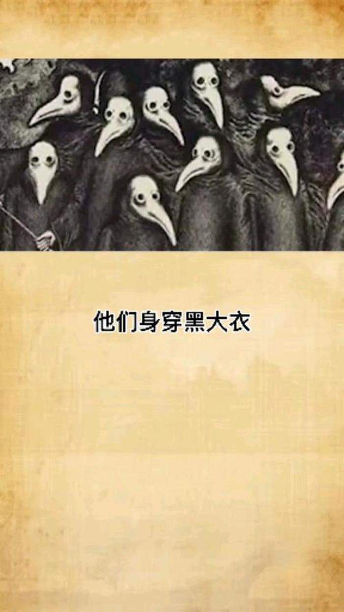 稀奇古怪的冷知识乌鸦、史上最有用的冷知识