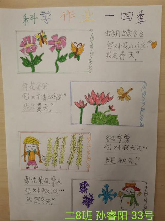 二年级科学知识看图写话 - 二年级怎样写科学小常识