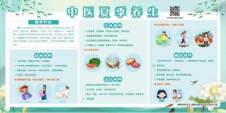中医养生知识视频教程全集 - 中医养生知识宣传