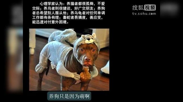 十万个奇葩冷知识视频大全，冷知识小视频
