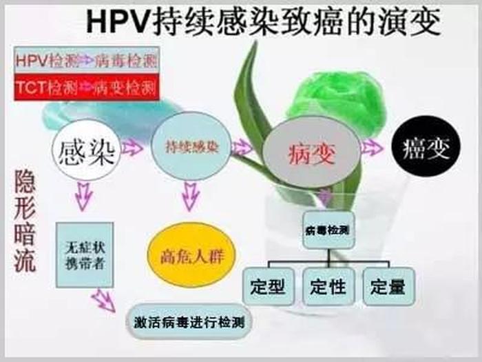 口腔科普小知识 口部感染hpv的症状