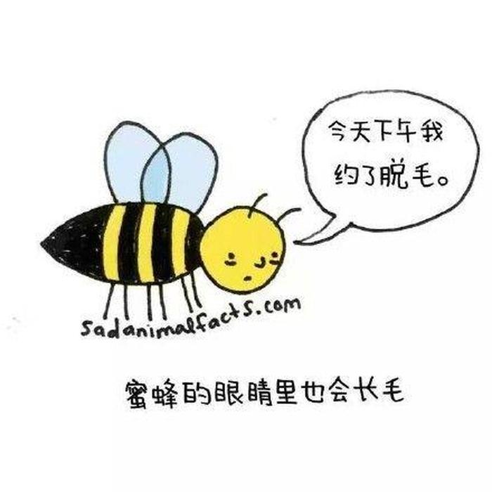奇葩冷知识头像 爆笑冷知识