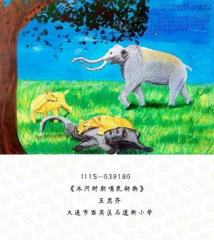 自然科学和技术知识科普，自然科学技术一等奖