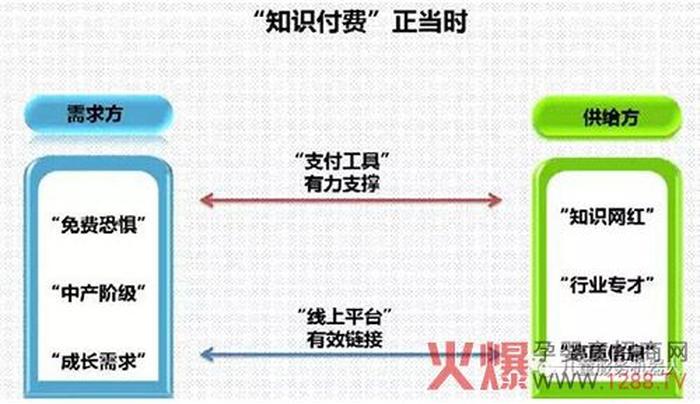 知识内容付费 知识付费项目