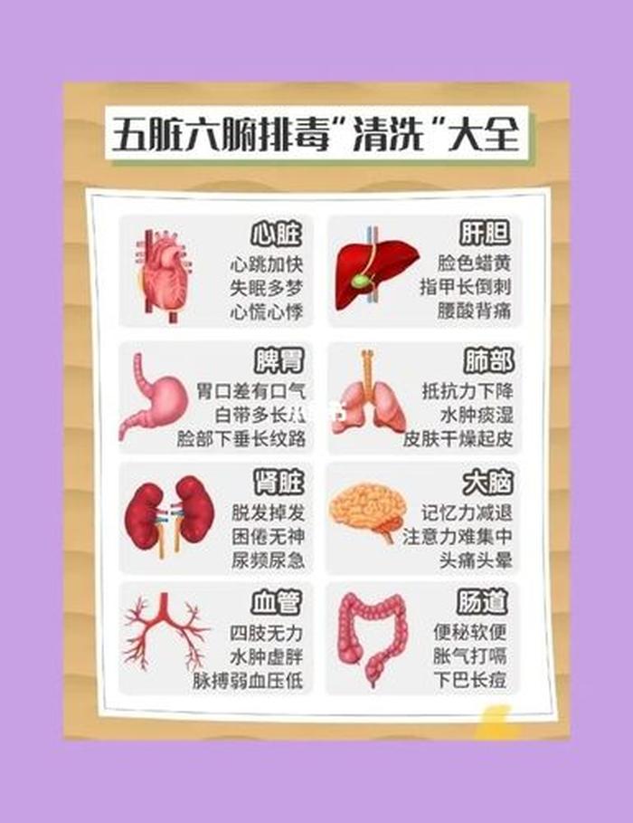 养生小妙招简单实用 - 每日养生小妙招