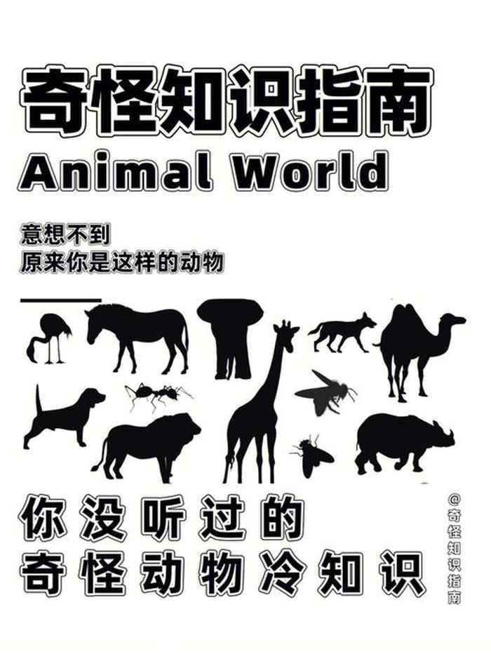 稀奇古怪的冷知识文案，科普世界奇怪知识