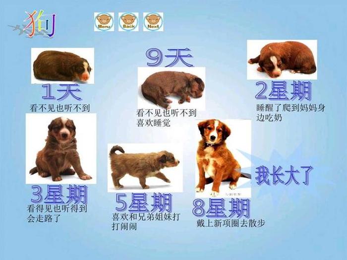 孩子必懂动物类知识 动物有哪些知识