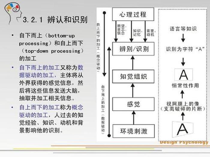 知识的定义是什么有哪些类型 - 类型的定义