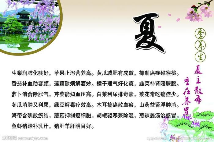 夏季养生知识大全及答案 - 夏天吃什么养生知识