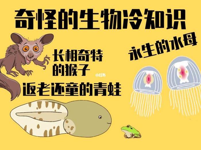有趣的冷知识 - 稀奇古怪的冷知识