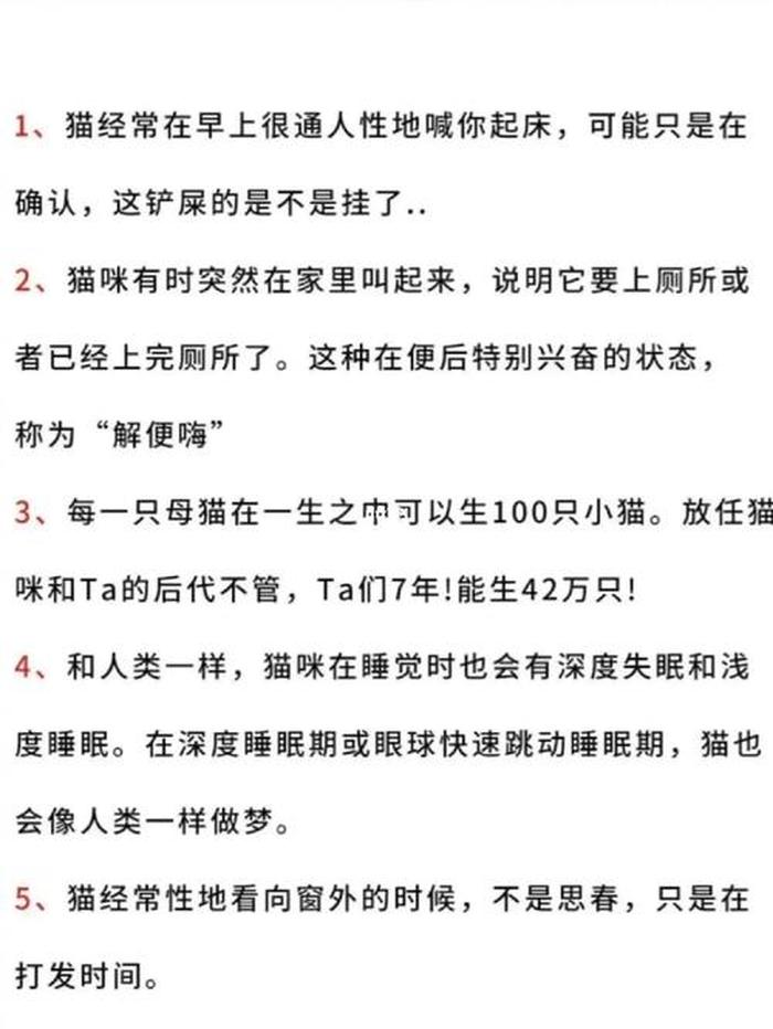 十万个奇葩冷知识最后的猫 一些冷知识