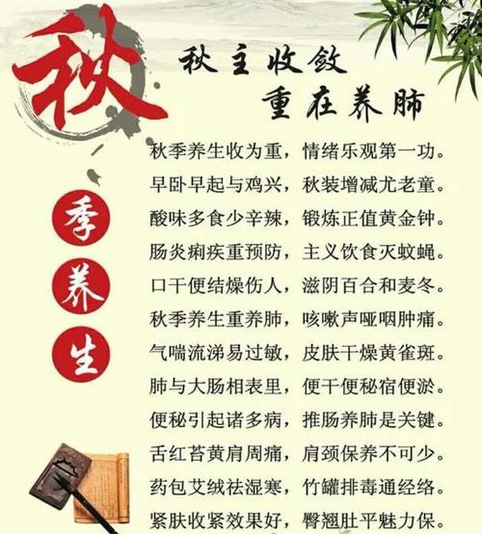 养生知识大全及调理身体，养生方面的知识