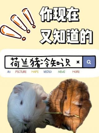 100个搞笑冷知识动物，动物冷知识科普