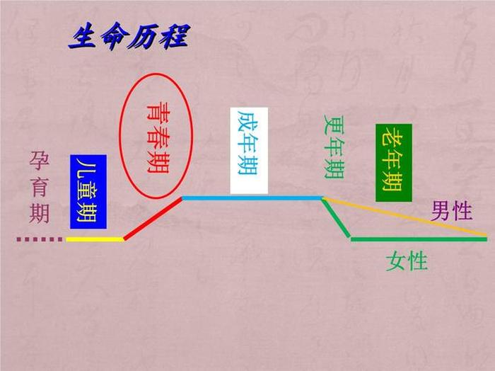 青春期知识普及，青春期卫生保健常识