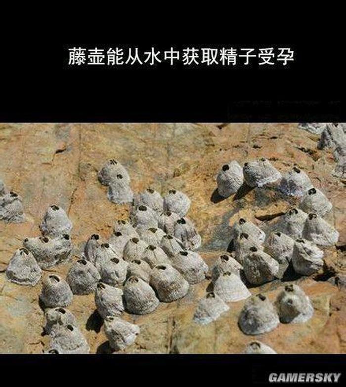 羞羞冷知识简介，冷知识百科大全