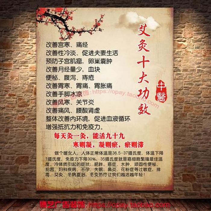 养生小知识每日一条美容身体 美容养生是做什么的