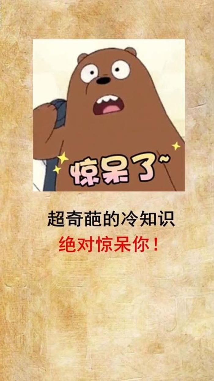 生活中的奇葩冷知识视频、爆笑冷知识