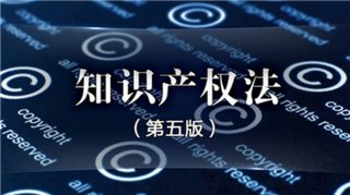 知识产权法法条全文 人大网，知识产权法法条全文百度网盘