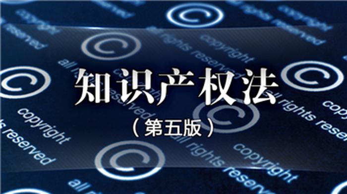 知识产权法法条全文 人大网，知识产权法法条全文百度网盘