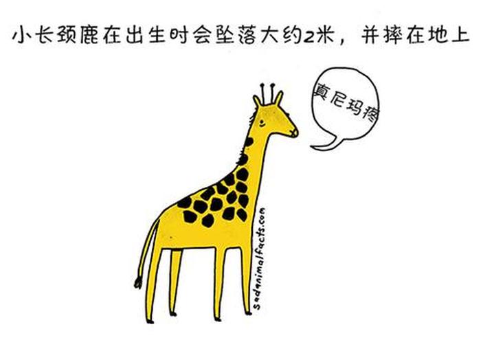 科普冷知识动画、冷知识大全