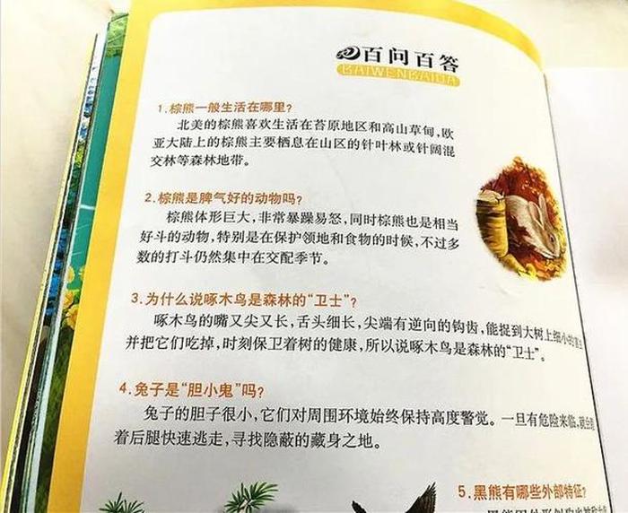 生活百科普及生活常识的童话、基本生活常识