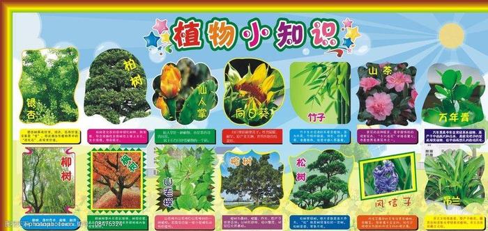 小百科知识大全视频 - 知识小视频