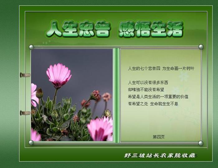 生活每日分享，每天分享生活的感悟