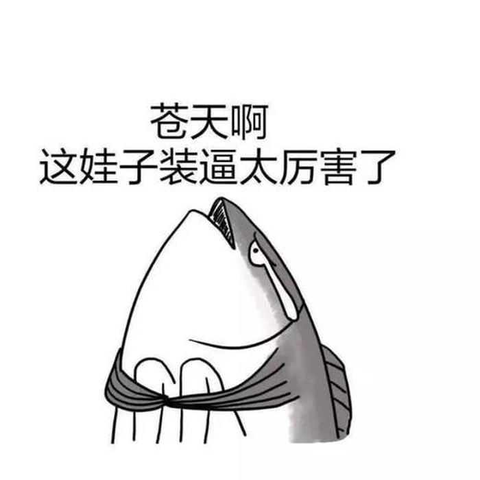 每天一个小知识表情包，苍天啊表情包