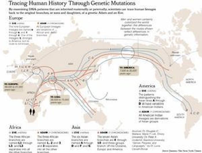 人类知识图谱图片 人类图鉴