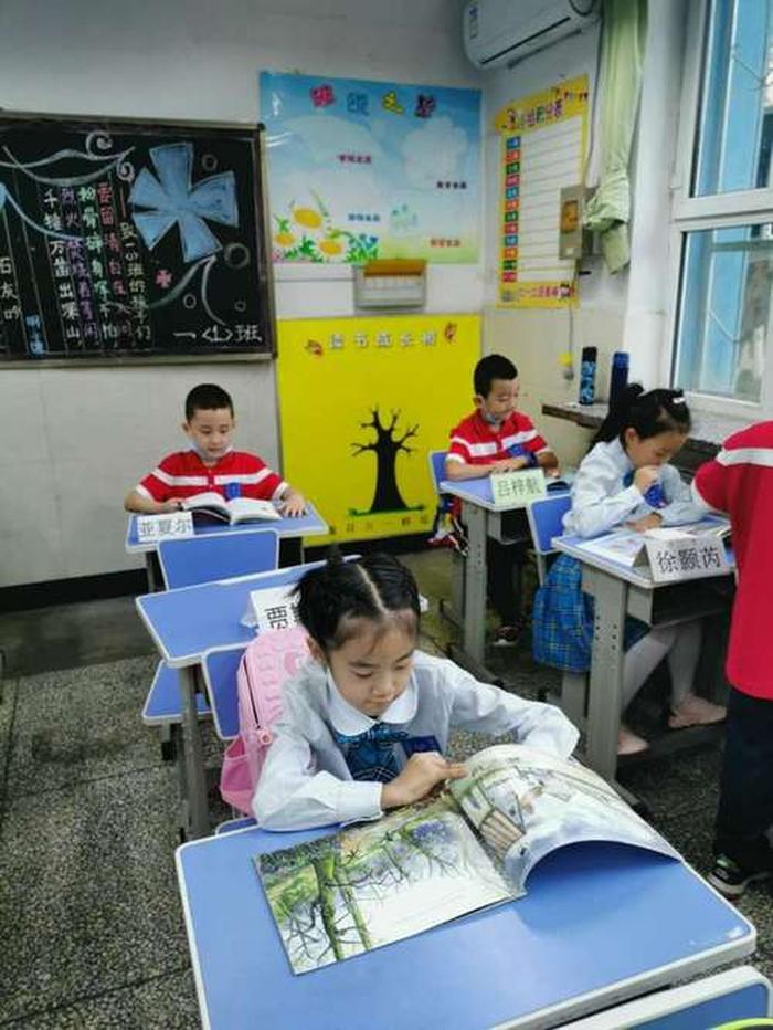 小学生中国基本知识有哪些；中国最好的小学