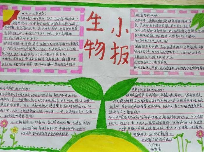 有趣的生物知识手抄报 - 生物手抄报内容文字