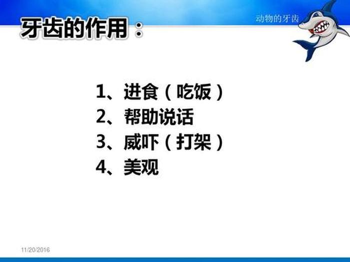 动物科普小知识搞笑视频 - 关于动物的科学小知识