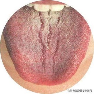 在线知识图谱网站、望舌识病图谱在线看